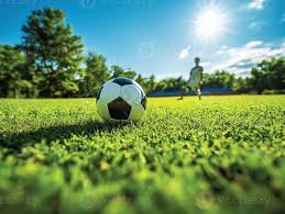 竟彩足球奖金计算工具界面展示