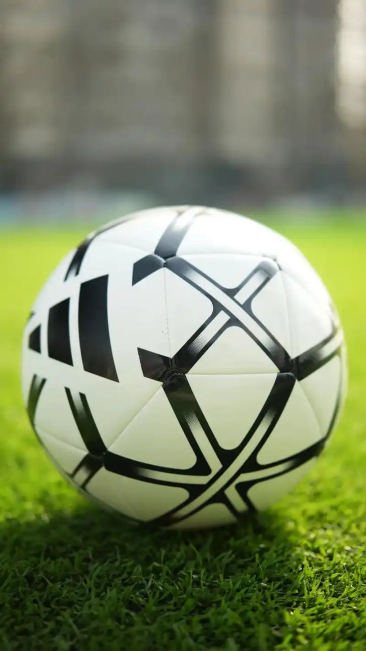 团队协作投注管理